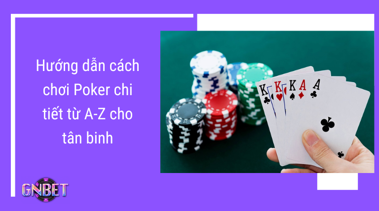 Cách xem ty le ca cuoc chuẩn xác nhất cho người mới bắt đầu